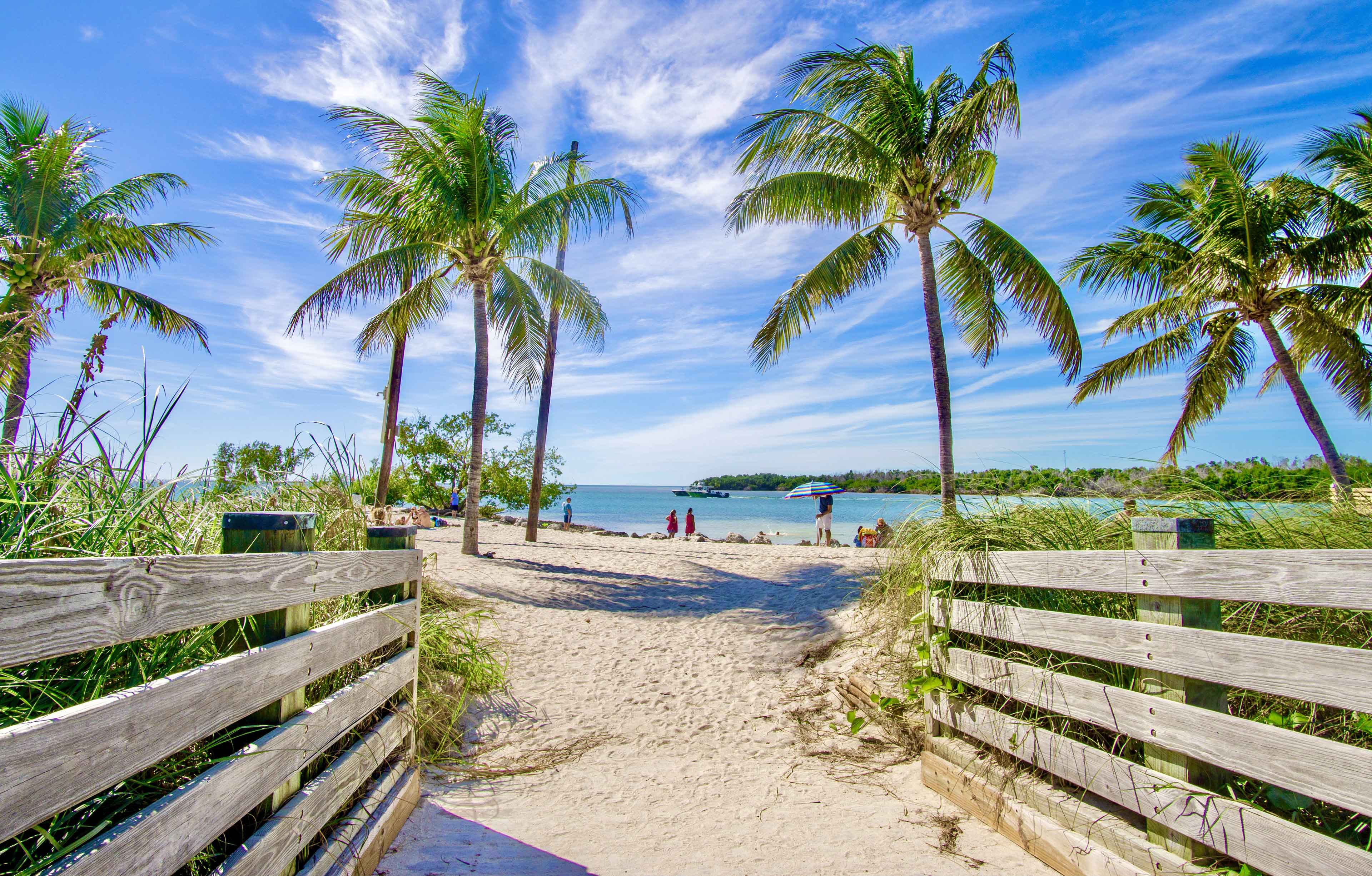 Beach with palm trees