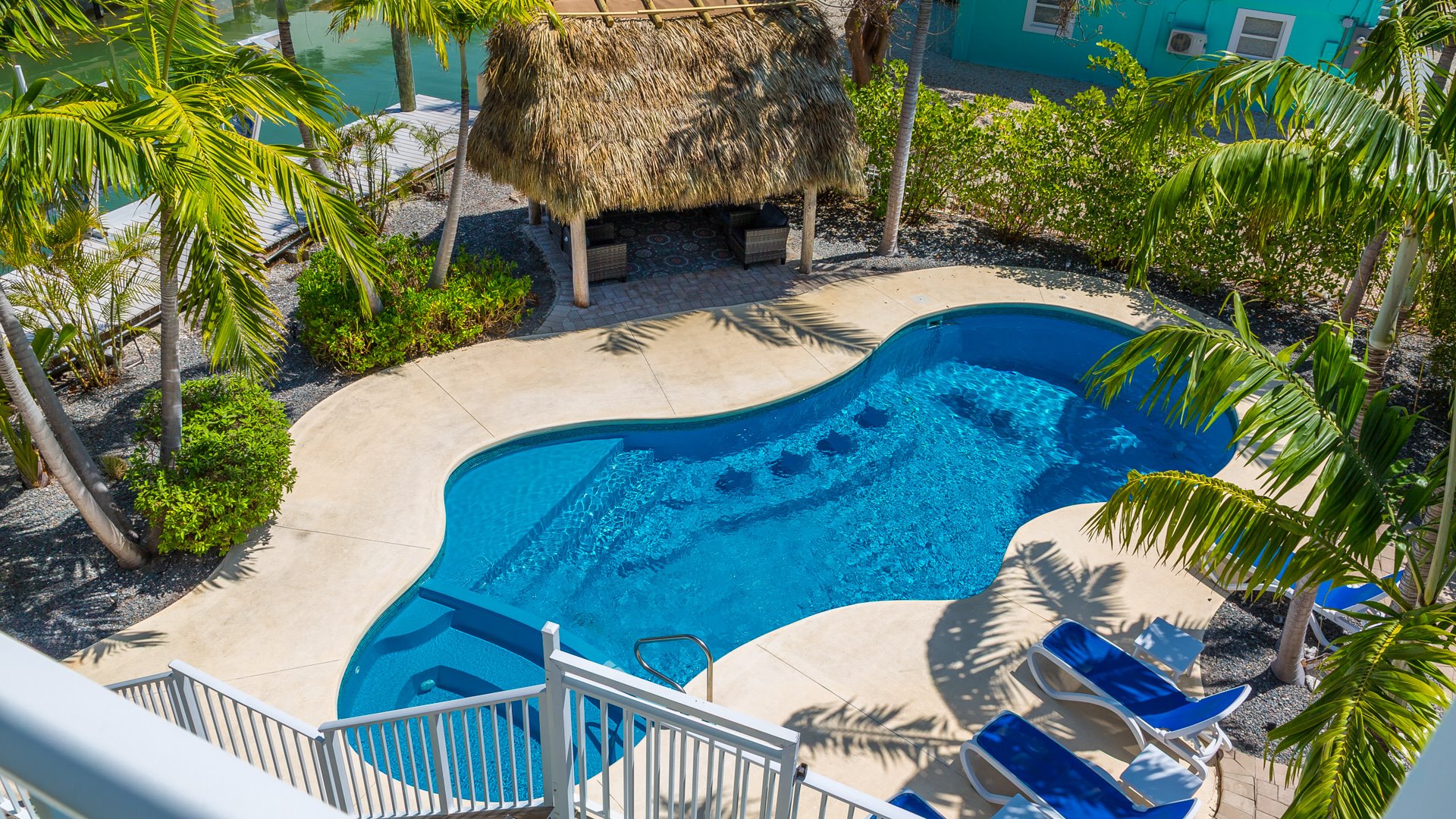 Dolphin Oasis