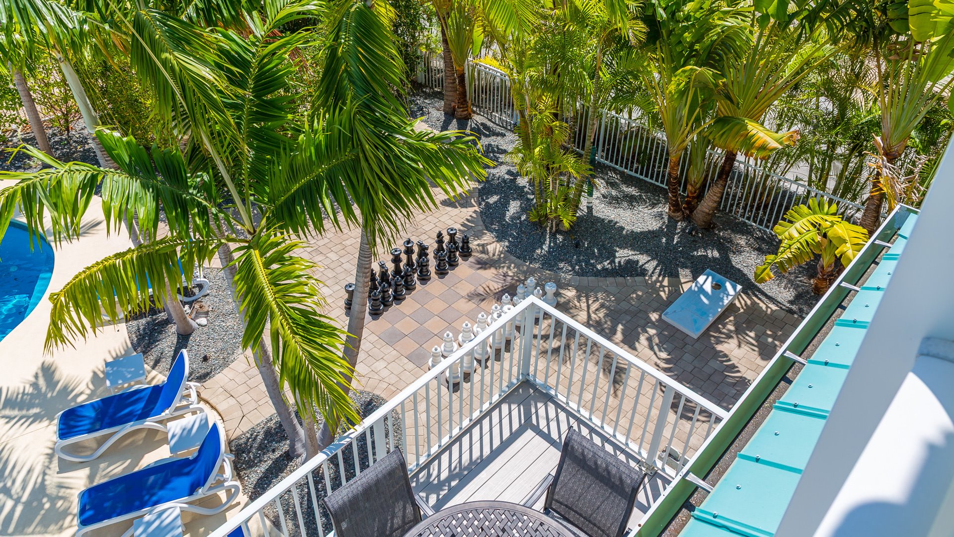 Dolphin Oasis