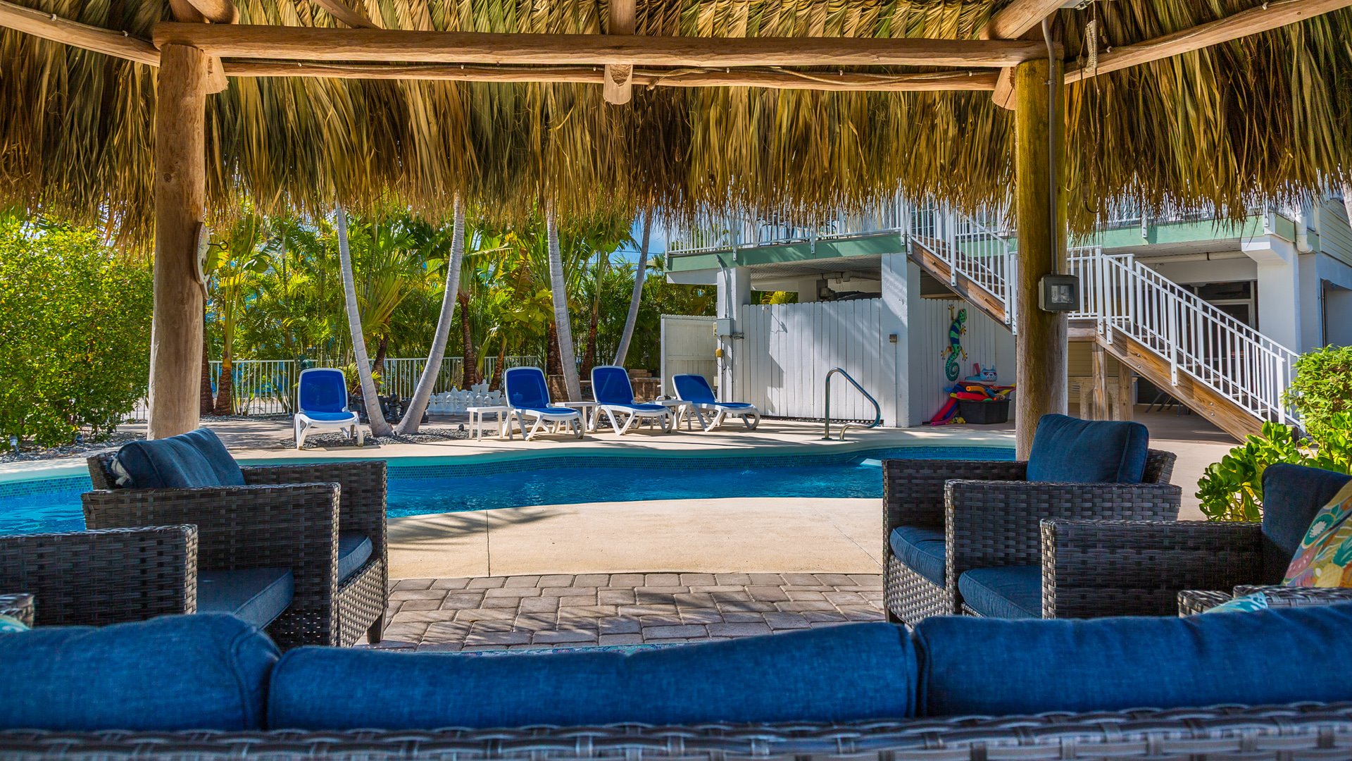 Dolphin Oasis