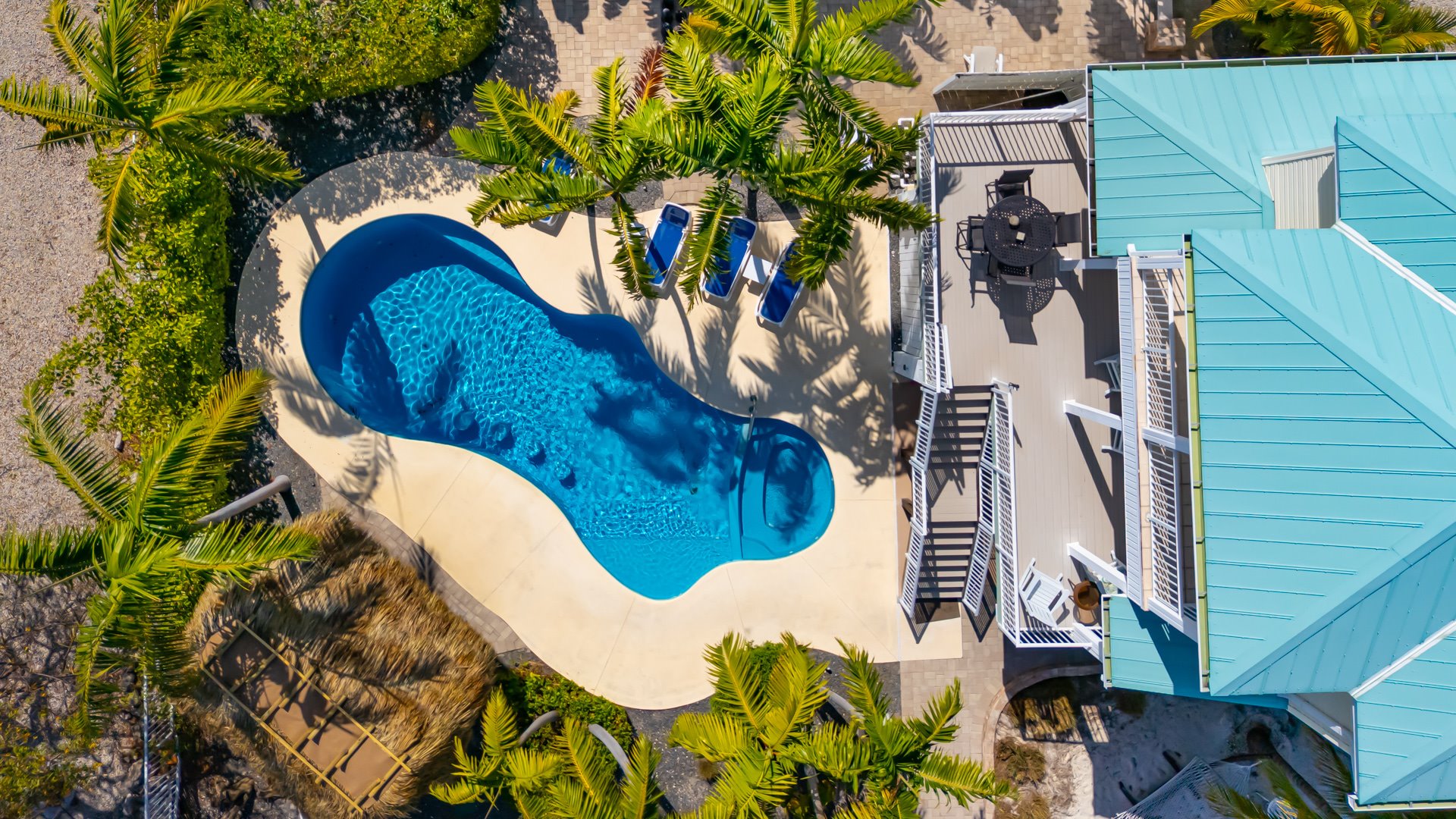 Dolphin Oasis